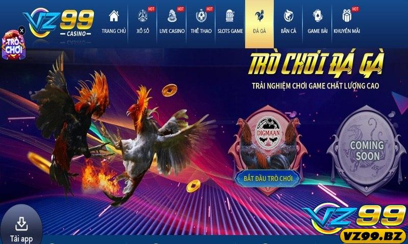 Tìm hiểu thông tin về sảnh game Đá gà VZ99